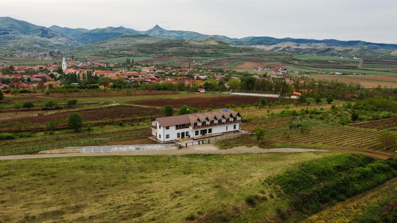 Pensiunea Casa Negrea Ighiu Exteriér fotografie