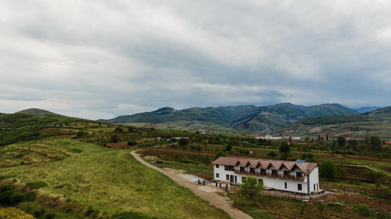 Pensiunea Casa Negrea Ighiu Exteriér fotografie