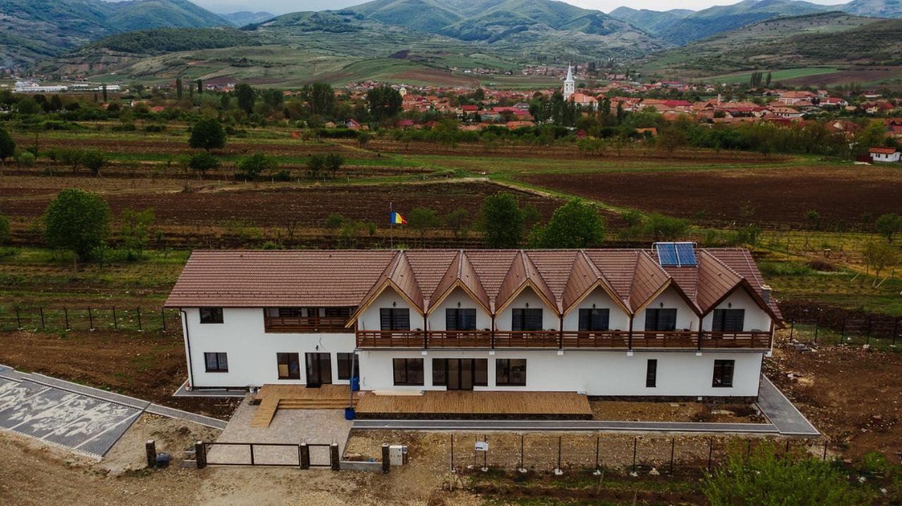 Pensiunea Casa Negrea Ighiu Exteriér fotografie
