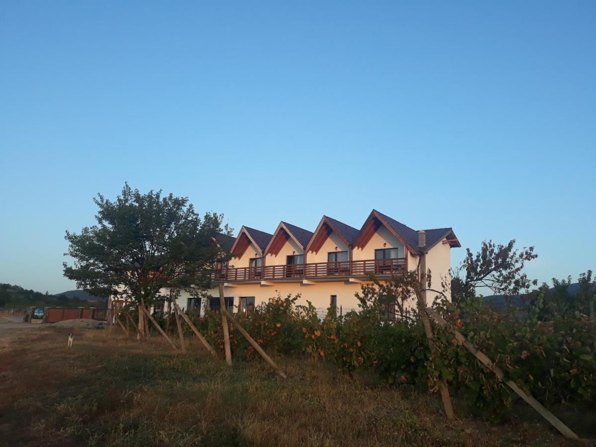 Pensiunea Casa Negrea Ighiu Exteriér fotografie
