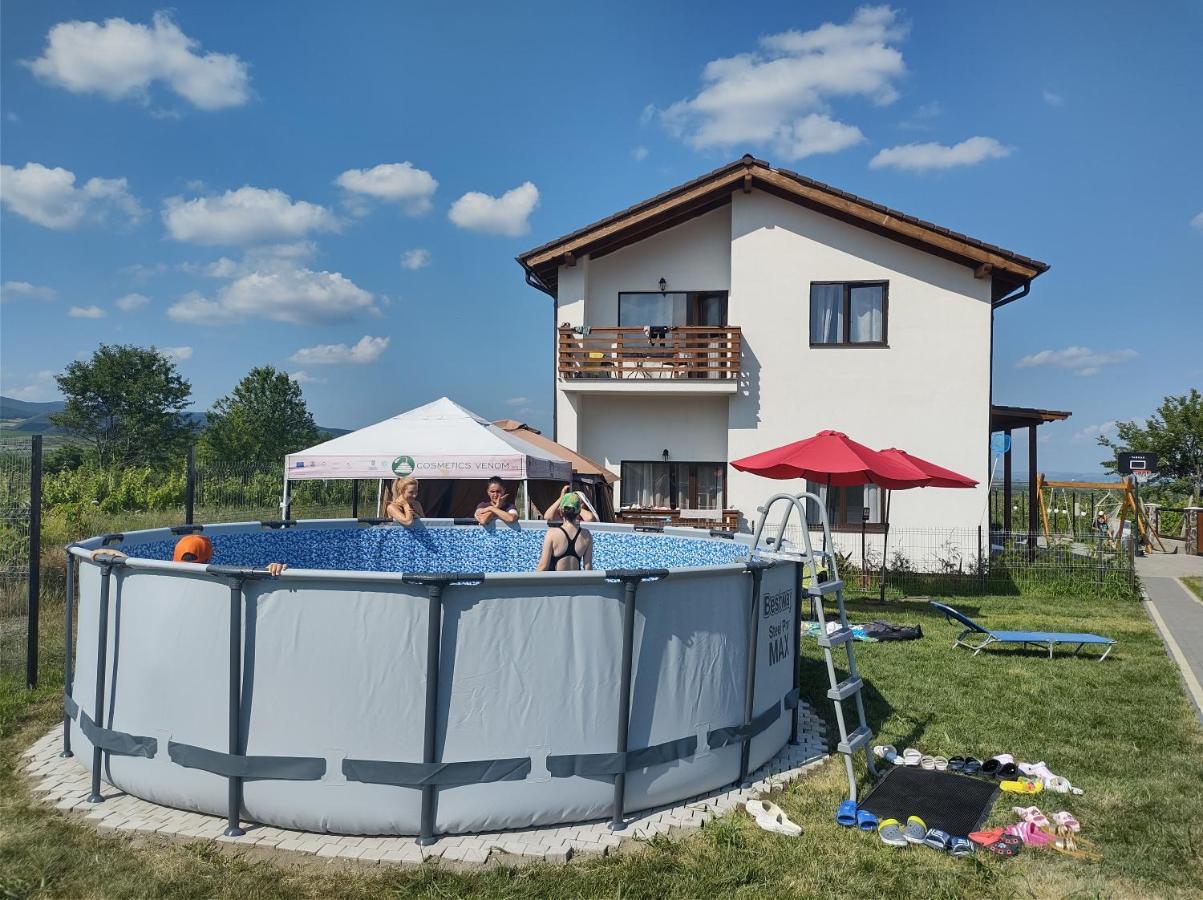 Pensiunea Casa Negrea Ighiu Exteriér fotografie